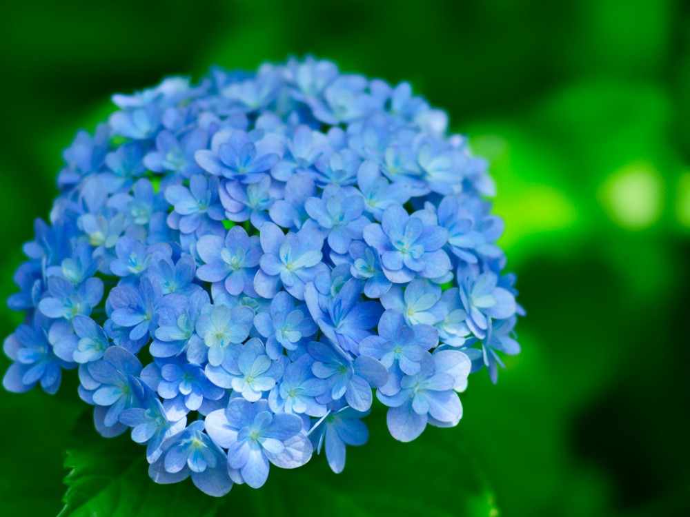 6月に短期間で学べる講座☆彡