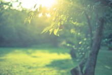 自分教育 Educate Myself セミナー　じぶん教育で自身を変える