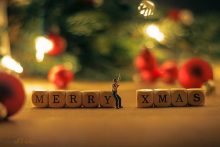 クリスマスパーティー開催決定！